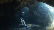 Shark Whisperer (Image via Netflix)